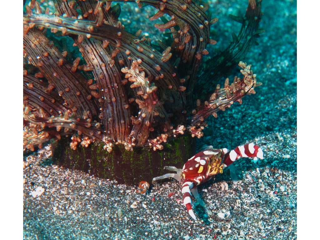 IMG_6228 - Version 2 (1) IMG_6228 - Version 2 (1)